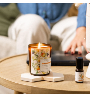 Bougie citron et basilic - vitalité 180g