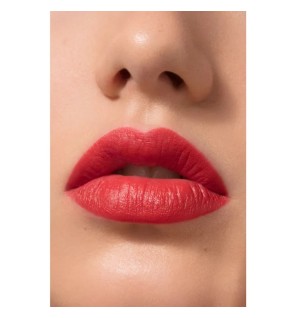 La base lèvres universelle