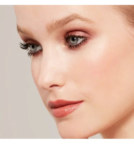 Palette la mystérieuse