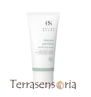 Masque purifiant