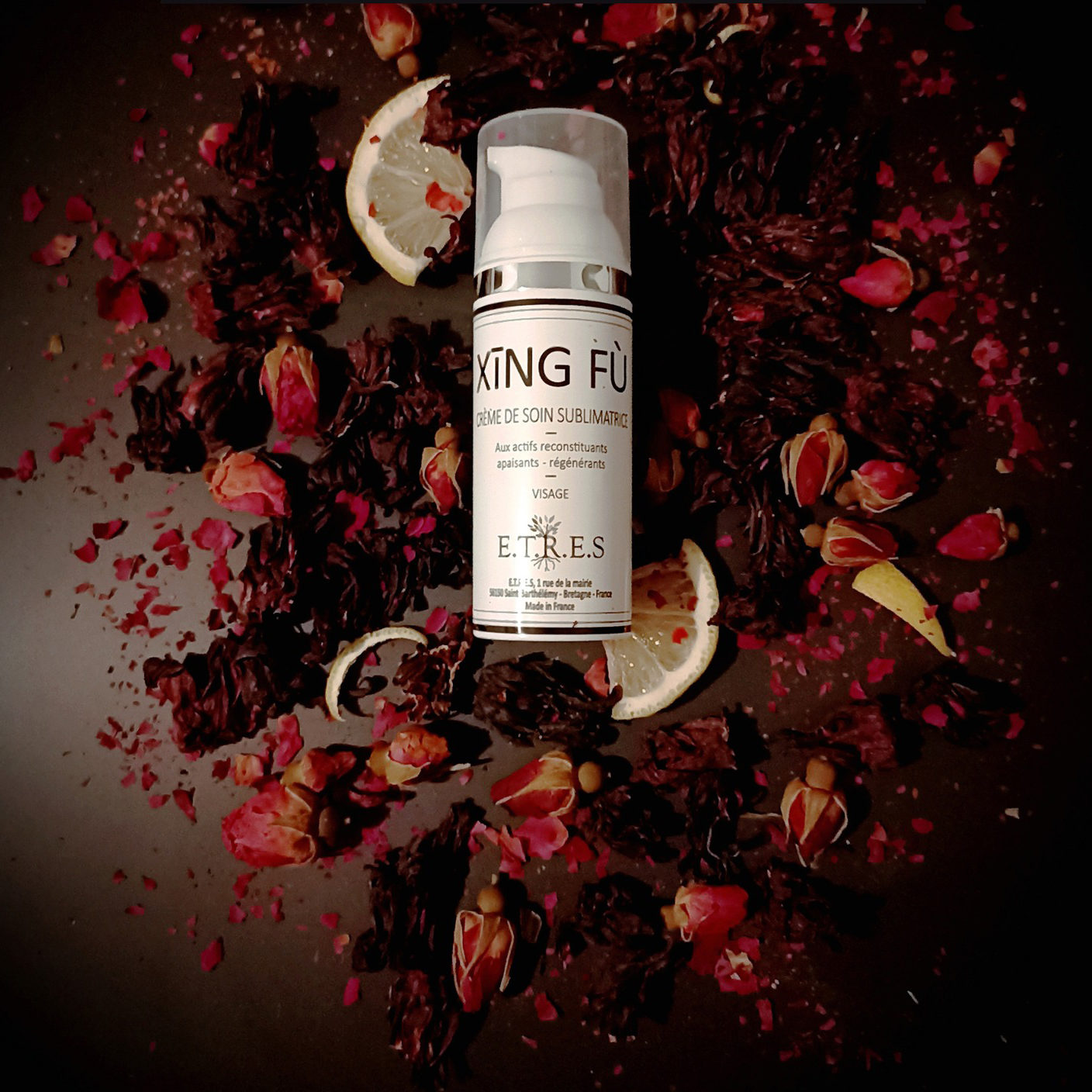 499601387_1143989820864751_7424815176962823996_n