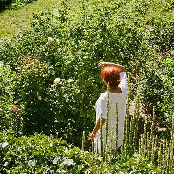 jardin.jpg